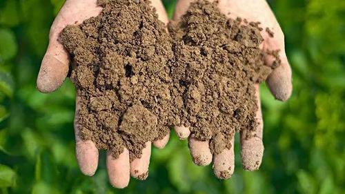 中央通知2020年禁止销售化肥农药正式开始实施